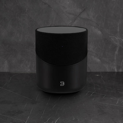 Bluesound PULSE M