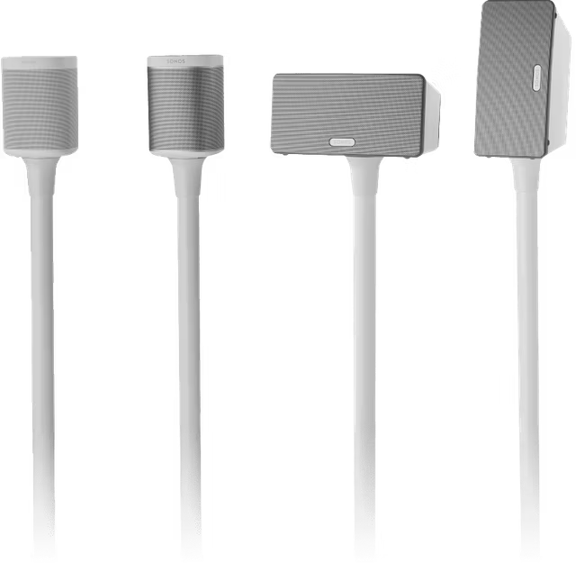 Sanus vloerstandaard voor Sonos One (set van twee)