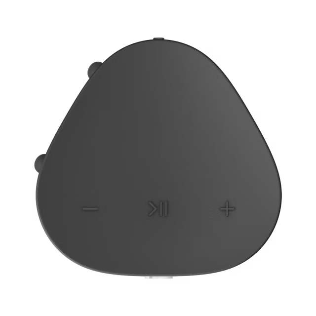 Sonos Roam SL