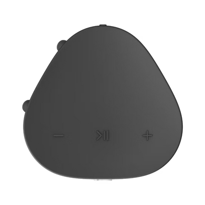 Sonos Roam SL