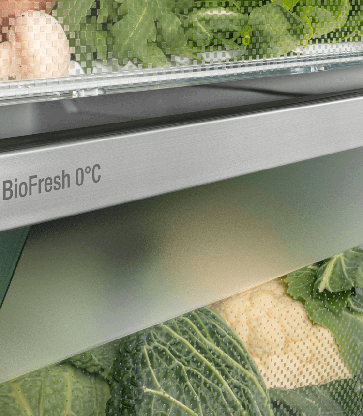 Liebherr CBNsda 575i