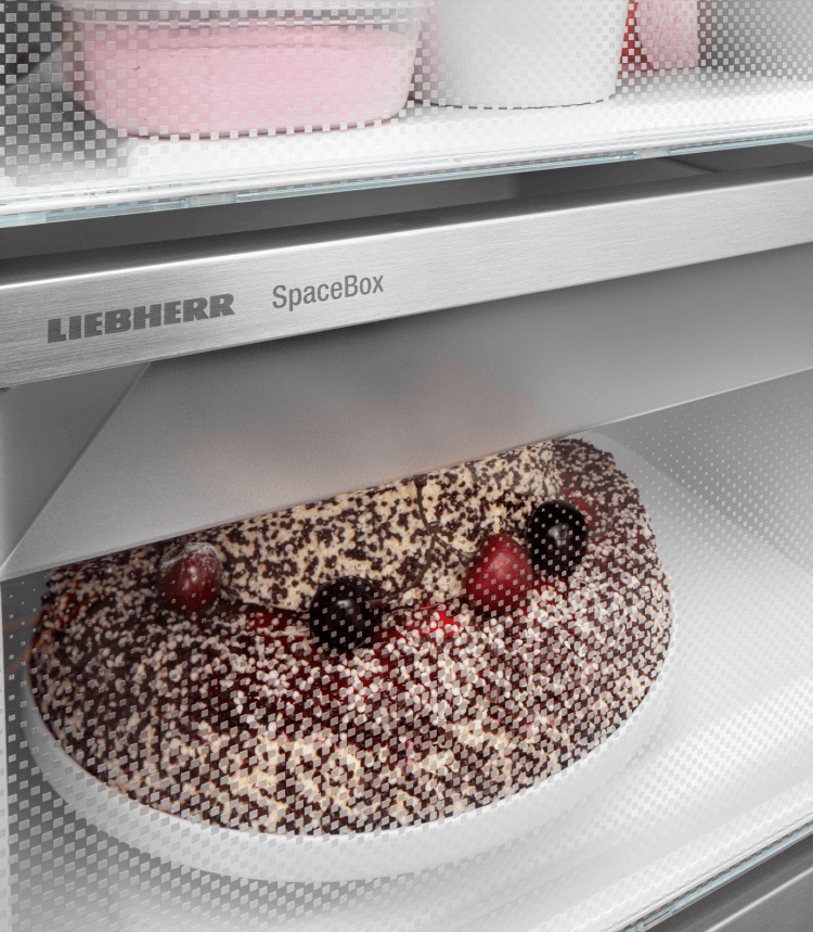 Liebherr FNe 4204 Pure Vrieskast - NoFrost met XXL SpaceBox