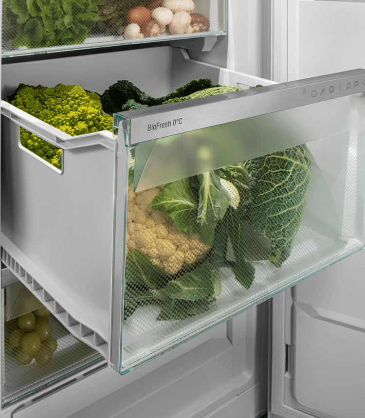 Liebherr RBa30 425i Prime BioFresh Koelkast - 0°C Versheid