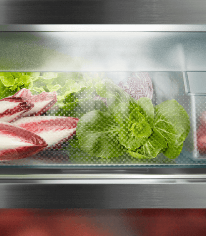 Liebherr RBstd 528i Peak – BioFresh Professional Koelkast