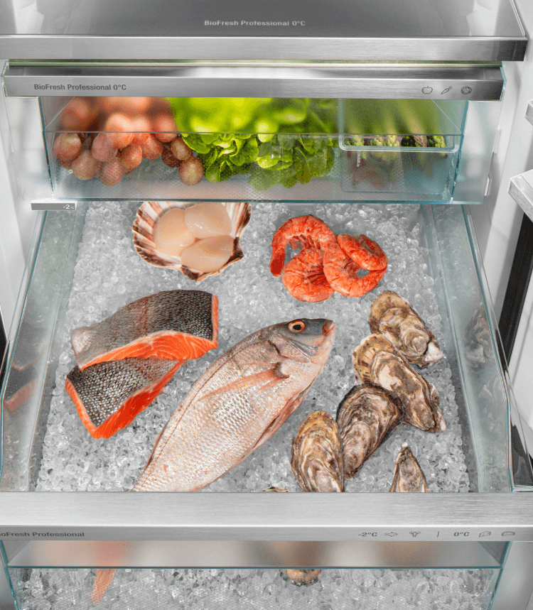 Liebherr RBstd 528i Peak – BioFresh Professional Koelkast