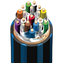 AudioQuest Blueberry 18