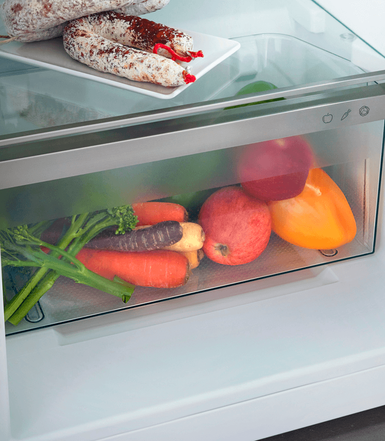 Liebherr Rd 1200 Pure – 85 cm tafelmodel koelkast (50 cm breed)