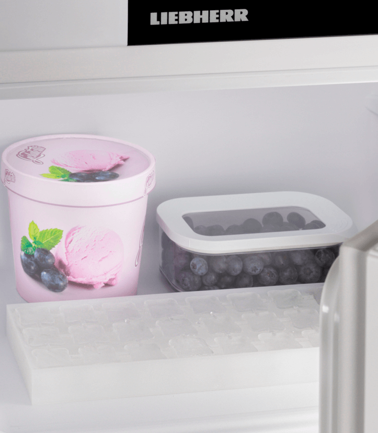 Liebherr Rd 1201 Pure – 85 cm tafelmodel koelkast met vriesvak